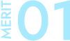MERIT 01