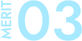 MERIT 03